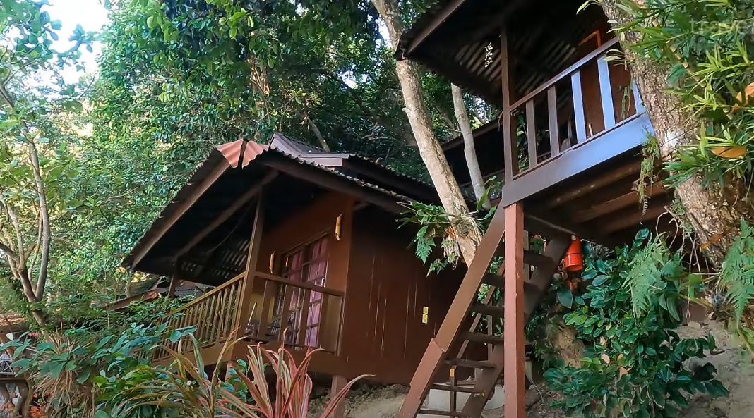 Kapas Turtle Valley Emedia